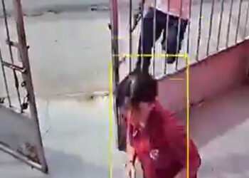 “Por favor, por favor”, mujer súplica a ladrones al ser encañonada en su propia casa | VIDEO
