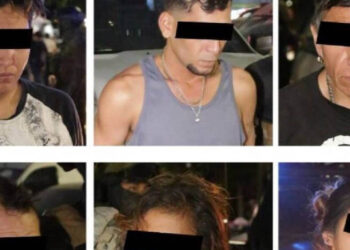 Decomisan más de 200 kilos de marihuana en la CDMX y detienen a 7 personas