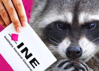 Elecciones 2024 en México: Cómo denunciar delitos electorales