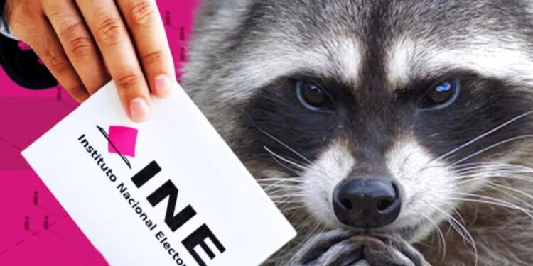 Elecciones 2024 en México: Cómo denunciar delitos electorales