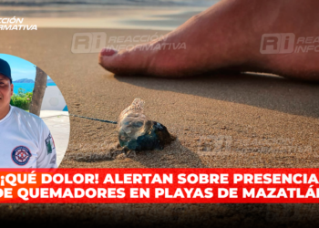 ¡QUÉ DOLOR! ALERTAN sobre presencia de QUEMADORES en playas de Mazatlán
