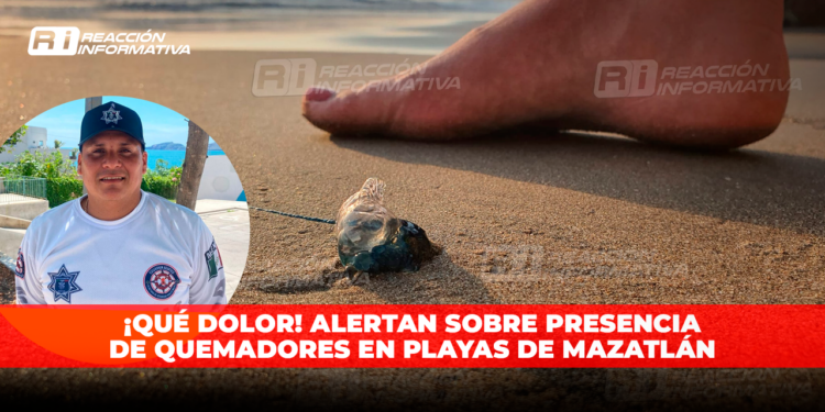 ¡QUÉ DOLOR! ALERTAN sobre presencia de QUEMADORES en playas de Mazatlán
