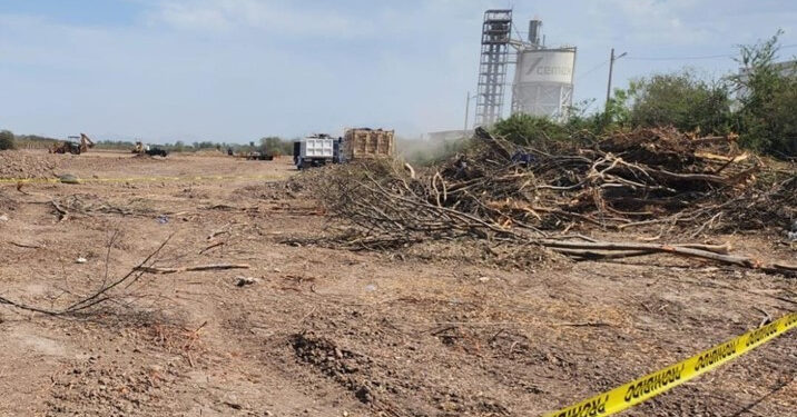 Localizan cuerpo semienterrado en un terreno en Culiacán