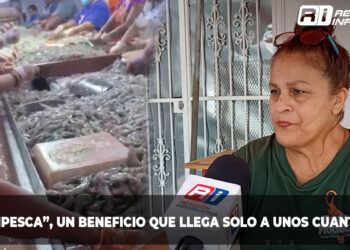 Bienpesca, un beneficio que llega solo a unos cuantos