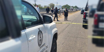 Encuentran cuerpos encintados y embolsados a orillas de la carretera en los municipios de San Ignacio y Culiacán