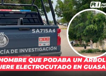 Hombre que podaba un árbol muere electrocutado en Guasave