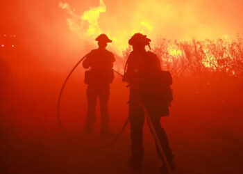 Incendio Forestal en Los Ángeles Provoca Evacuación de 1,200 Personas