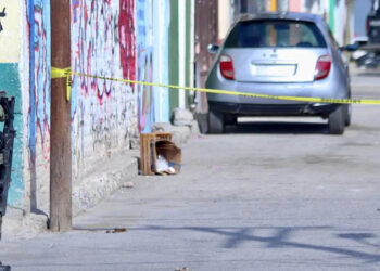 Abandonan en León nueve bolsas con restos humanos