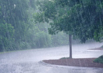 ¿Lloverá TODO el día? ASÍ está afectando la tormenta tropical ‘Alberto’ HOY 20 de junio