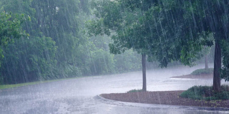 ¿Lloverá TODO el día? ASÍ está afectando la tormenta tropical ‘Alberto’ HOY 20 de junio