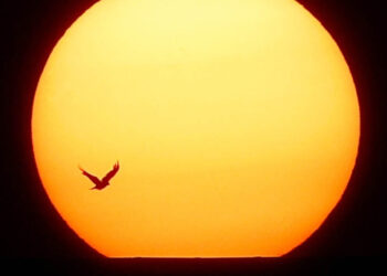 Solsticio de verano: ¿cuándo será el día más largo del 2024?