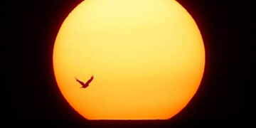 Solsticio de verano: ¿cuándo será el día más largo del 2024?