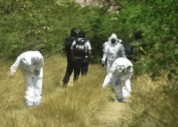 Localizan los cuerpos sin vida de cuatro hombres en una brecha de Lagos de Moreno