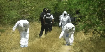 Localizan los cuerpos sin vida de cuatro hombres en una brecha de Lagos de Moreno