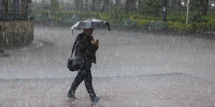 Temporada de lluvia: ¿Cómo recolectar agua fácilmente?