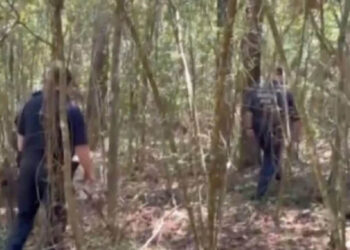 Hombre secuestra a 2 niñas tras matar a la madre; horas más tarde las encuentran, una ya sin vida
