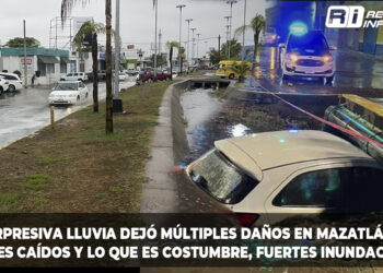 Sorpresiva lluvia dejó múltiples daños en Mazatlán, árboles caídos y lo que es costumbre, fuertes inundaciones