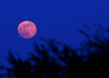 Cuándo será la luna de fresa y en qué parte de México se verá
