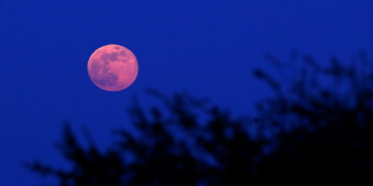 Cuándo será la luna de fresa y en qué parte de México se verá