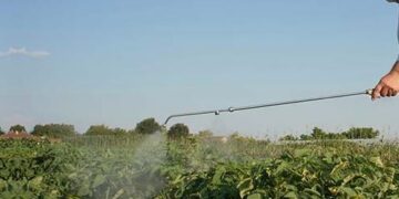 Joven de 25 años muere por intoxicación con fumigante tóxico en Elota