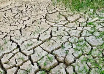 Se eleva sequía a 89.5% del país y hay ALERTA por falta de lluvias