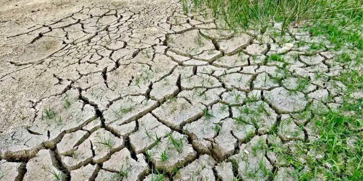 Se eleva sequía a 89.5% del país y hay ALERTA por falta de lluvias