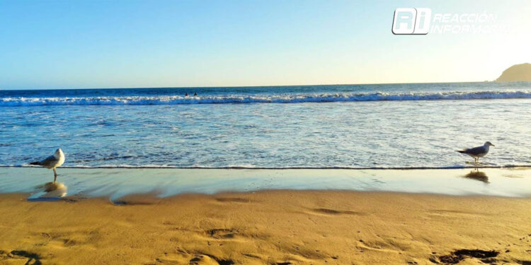 Continuarán las altas temperaturas el día de hoy lunes para Mazatlán