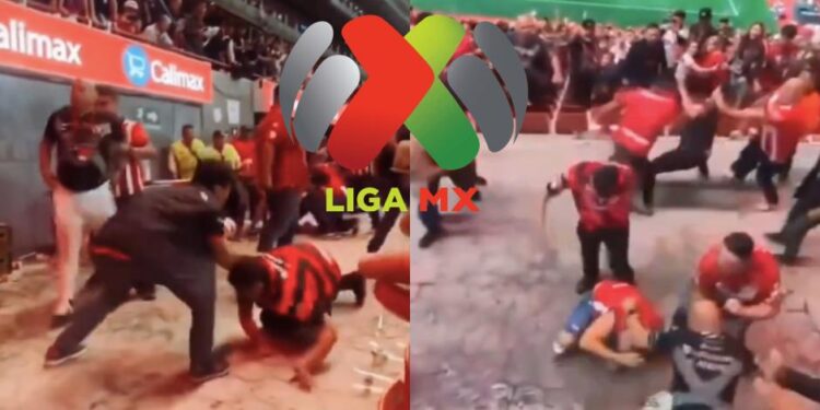 Presunto narco sería el aficionado fallecido en el partido Xolos vs Chivas