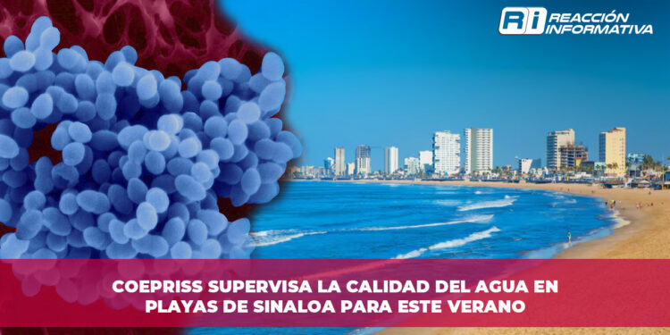 COEPRISS supervisa la calidad del agua en playas de Sinaloa para este verano