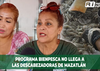 Programa Bienpesca no llega a las Descabezadoras de Mazatlán