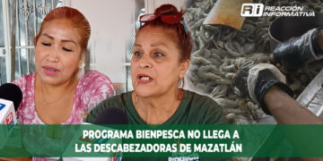 Programa Bienpesca no llega a las Descabezadoras de Mazatlán
