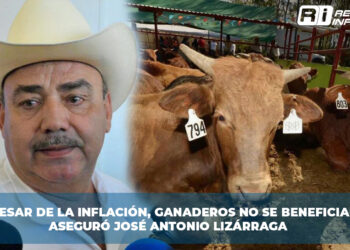 Aumento de la inflación impacta la canasta básica: comer saludable se vuelve un lujo