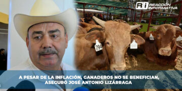 Aumento de la inflación impacta la canasta básica: comer saludable se vuelve un lujo