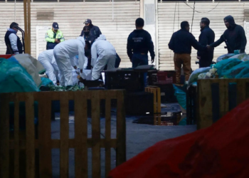 Suman 193 mil 685 homicidios dolosos en lo que va del sexenio