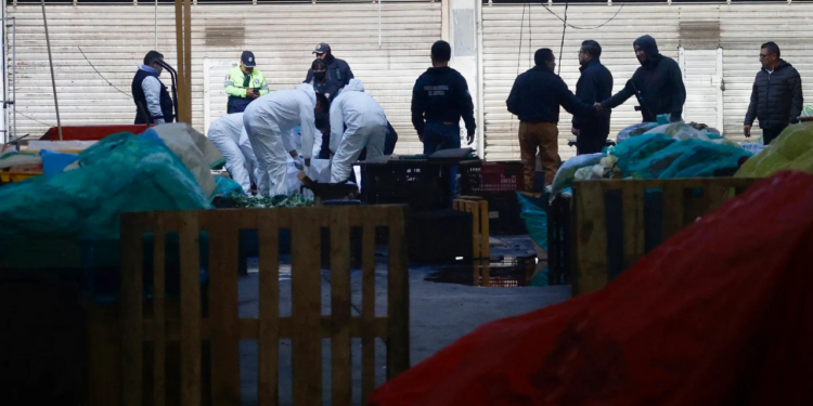 Suman 193 mil 685 homicidios dolosos en lo que va del sexenio