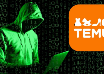 Temu, la plataforma que más información recopila de usuarios mexicanos: Instituto Federal de Telecomunicaciones