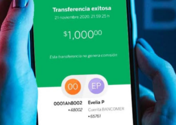 ¿Cuáles son los conceptos de pago que NO debes poner en una transferencia y por qué?
