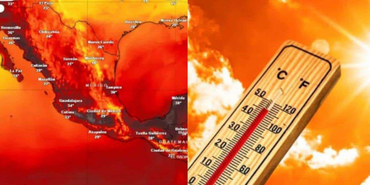 Canícula 2024: En estos estados de México se sentirá más calor
