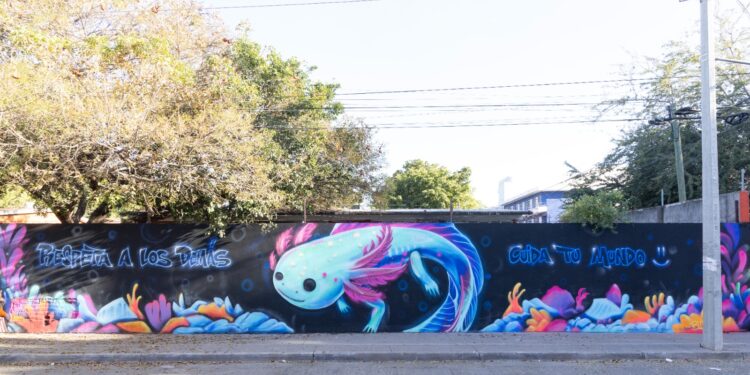 Invitan a participar en el programa “Vamos Pintando Culiacán”