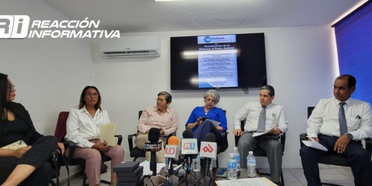 La reforma al poder judicial es un capricho del presidente AMLO: Francisco Villarreal