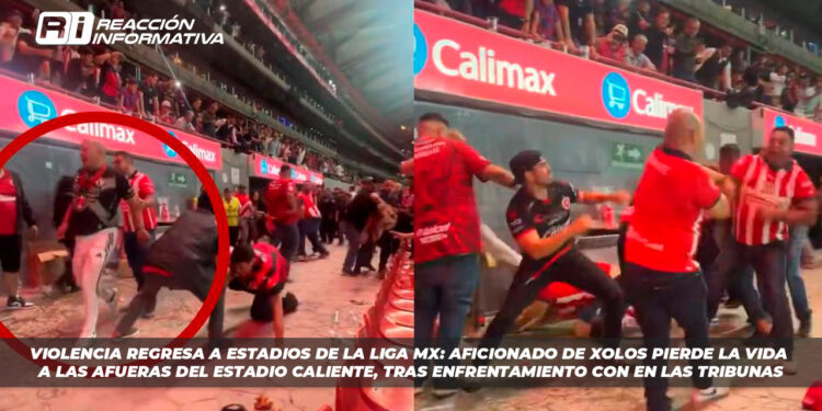 Balean a un hombre en la cabeza tras pelea en el Estadio Caliente de Tijuana (Videos)