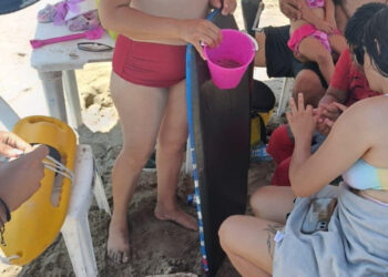 Elementos Salvavidas de Mazatlán ponen a salvo a un bañista y atienden a dos personas por quemadores
