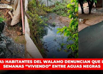 ¡AYUDA!: Habitantes del Walamo denuncian que llevan semanas “viviendo” entre aguas negras