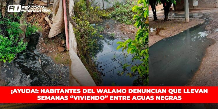 ¡AYUDA!: Habitantes del Walamo denuncian que llevan semanas “viviendo” entre aguas negras