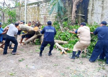 Continúa el Plan Marina en sus fases de recuperación y prevención por los efectos de la Tormenta Tropical Beryl
