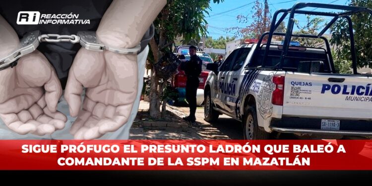 Sigue prófugo el presunto ladrón que baleó a Comandante de la SSPM en Mazatlán