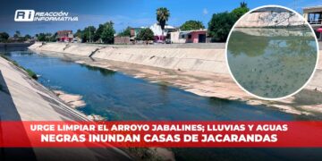 Urge limpiar el Arroyo Jabalines; lluvias y aguas negras inundan casas de Jacarandas