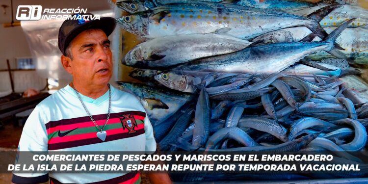 Comerciantes de pescados y mariscos en el Embarcadero de la Isla de la Piedra esperan repunte por temporada vacacional