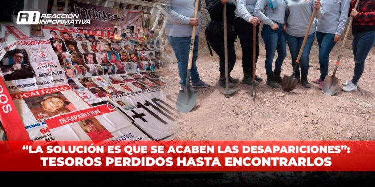 “La solución es que se acaben las desapariciones”: Tesoros Perdidos Hasta Encontrarlos