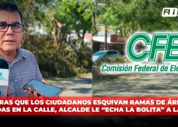 Mientras que los ciudadanos esquivan ramas de árboles tiradas en la calle, Alcalde le “echa la bolita” a la CFE
